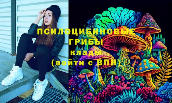 дмт Костерёво